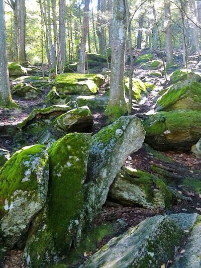 Diana's Pool - Chaplin, CT