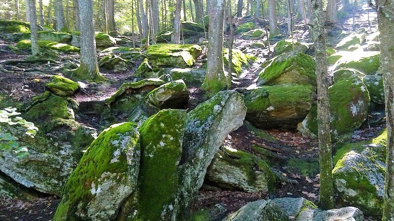 Diana's Pool - Chaplin, CT