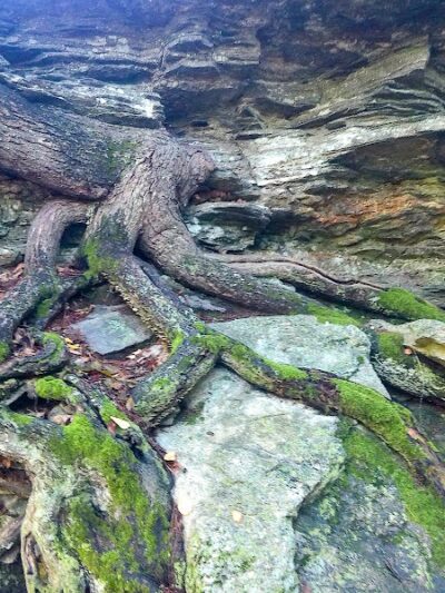 Diana's Pool - Chaplin, CT