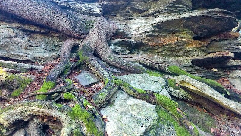 Diana's Pool - Chaplin, CT