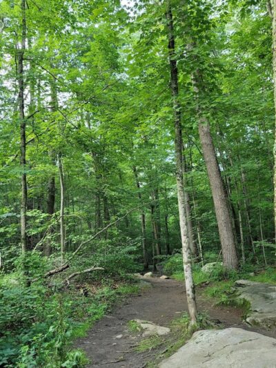 Diana's Pool - Chaplin, CT