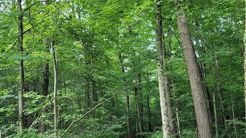 Diana's Pool - Chaplin, CT