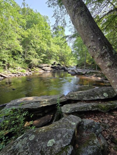 Diana's Pool - Chaplin, CT