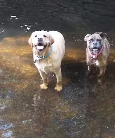 Diana's Pool - Chaplin, CT