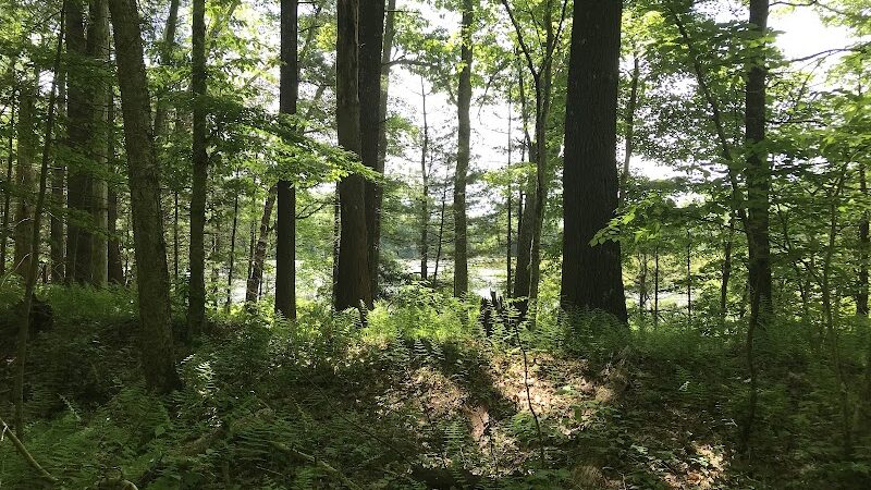 Hubbard Sanctuary and Agnes' Pasture - Chaplin, CT