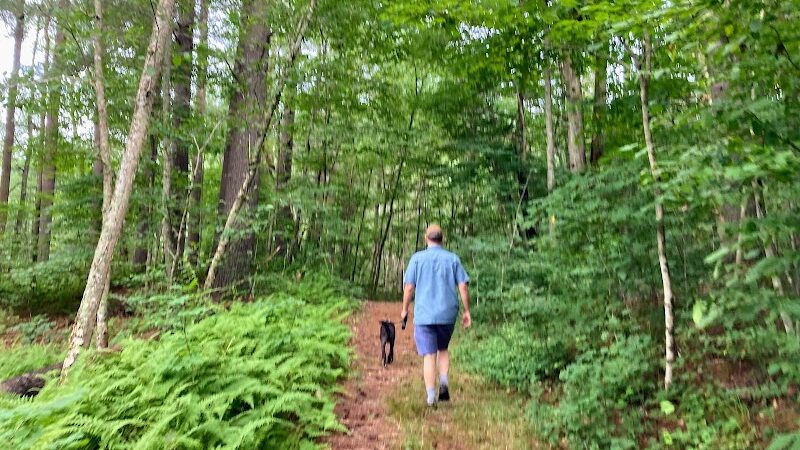 Hubbard Sanctuary and Agnes' Pasture - Chaplin, CT