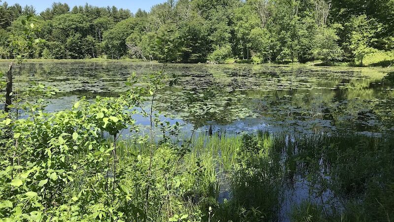 Hubbard Sanctuary and Agnes' Pasture - Chaplin, CT