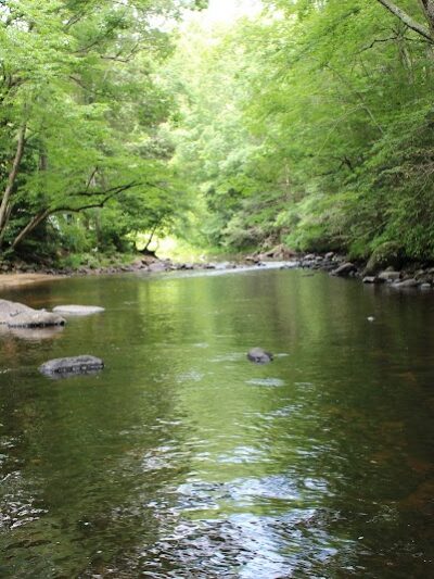 Nickerson Park Family Campground - Chaplin, CT
