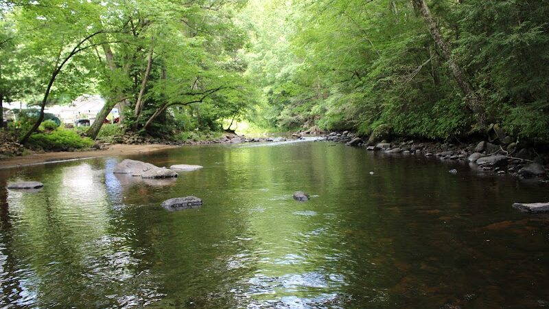 Nickerson Park Family Campground - Chaplin, CT