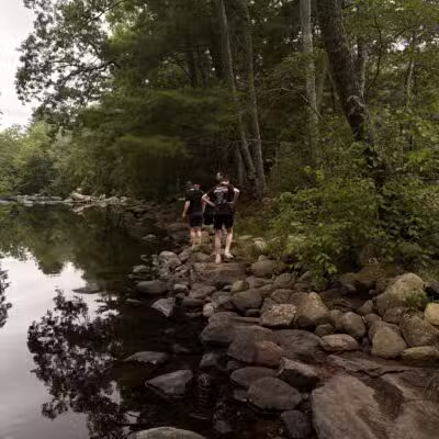 Nickerson Park Family Campground - Chaplin, CT