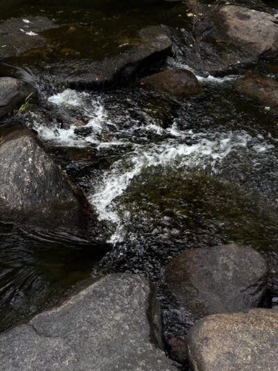 Nickerson Park Family Campground - Chaplin, CT