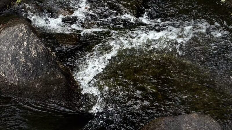 Nickerson Park Family Campground - Chaplin, CT