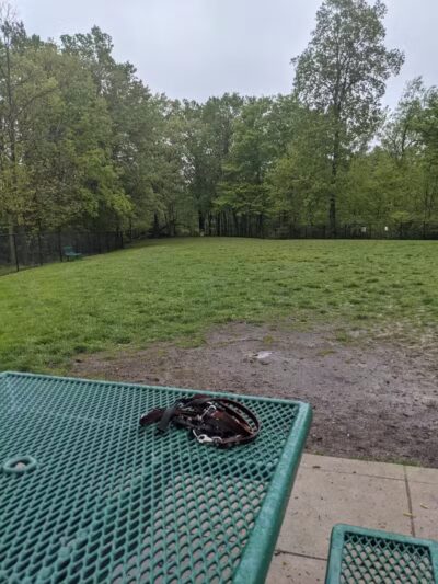 Charleston Dog Park - Charleston, IL