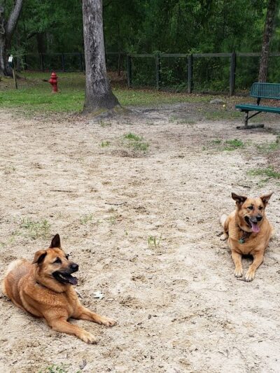 Bridgewater Dog Park - Charleston, SC