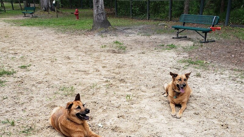 Bridgewater Dog Park - Charleston, SC