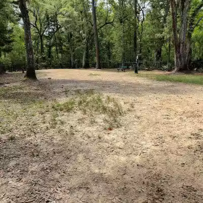 Bridgewater Dog Park - Charleston, SC