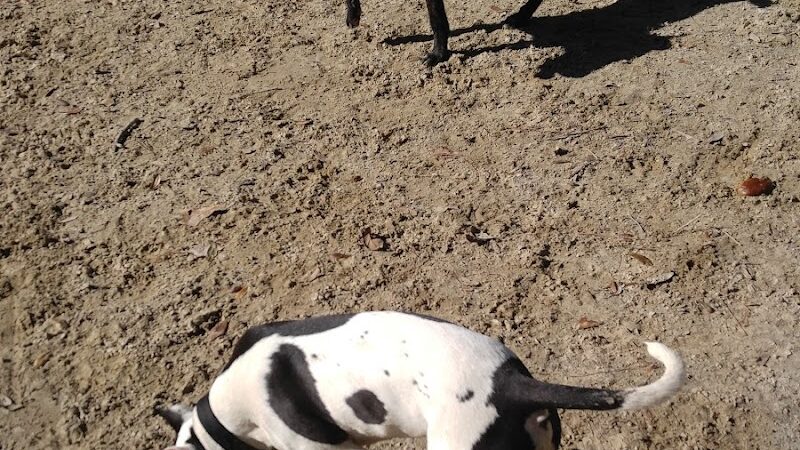 Bridgewater Dog Park - Charleston, SC