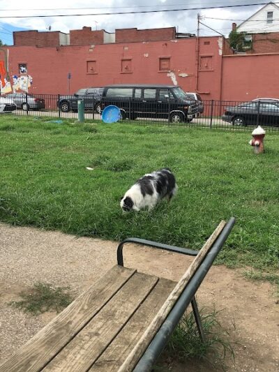 Ruth Rafferty Peyton Dog Park - Charleston, WV