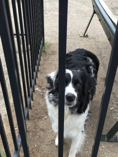 Ruth Rafferty Peyton Dog Park - Charleston, WV