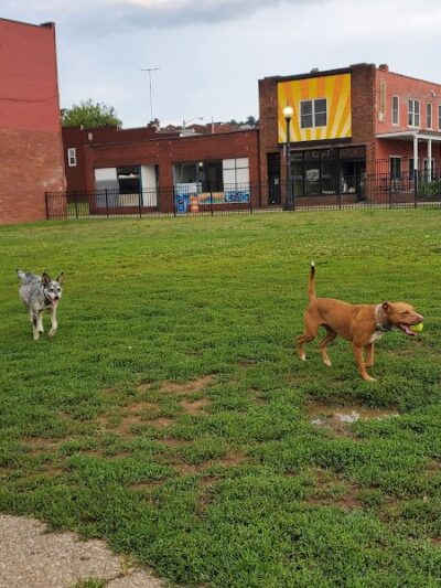 Ruth Rafferty Peyton Dog Park - Charleston, WV