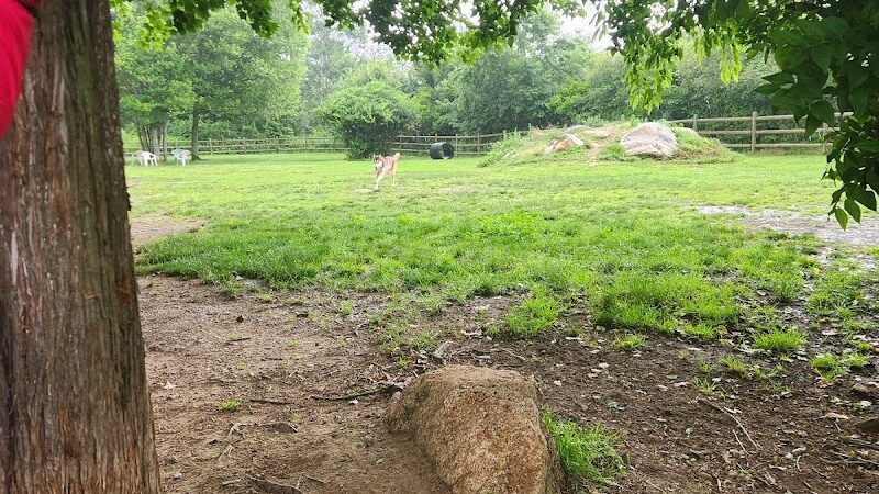 Charlestown dog park