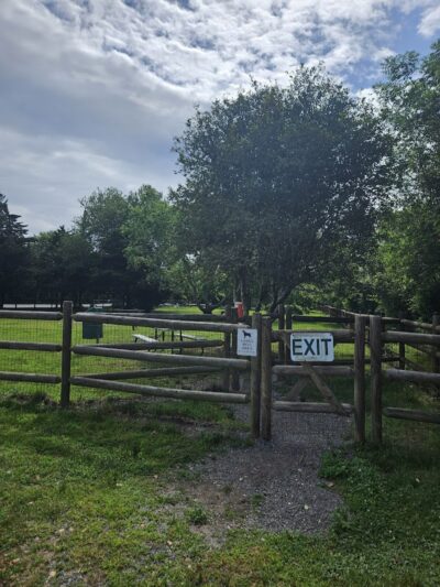 Charlestown dog park