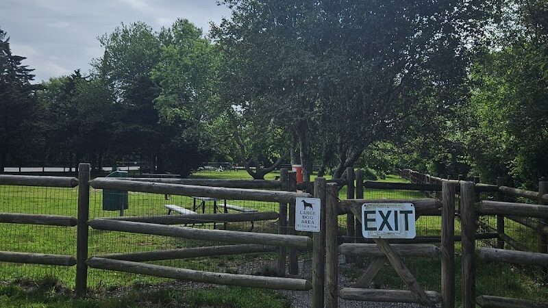 Charlestown dog park