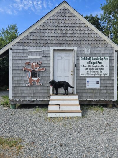 Charlestown dog park
