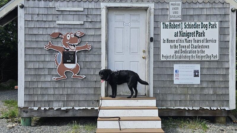 Charlestown dog park
