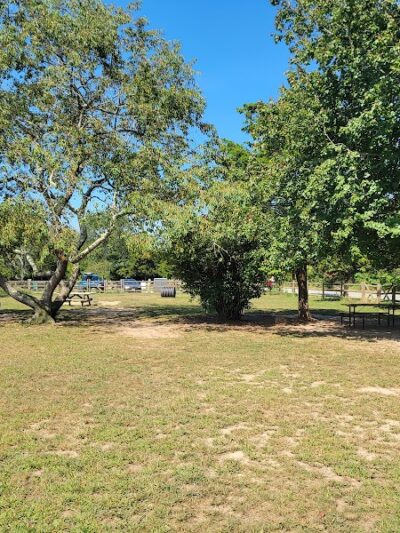 Charlestown dog park