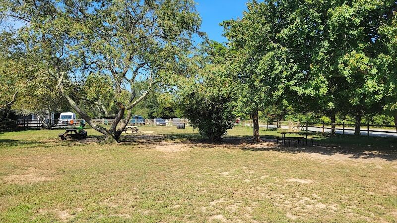 Charlestown dog park