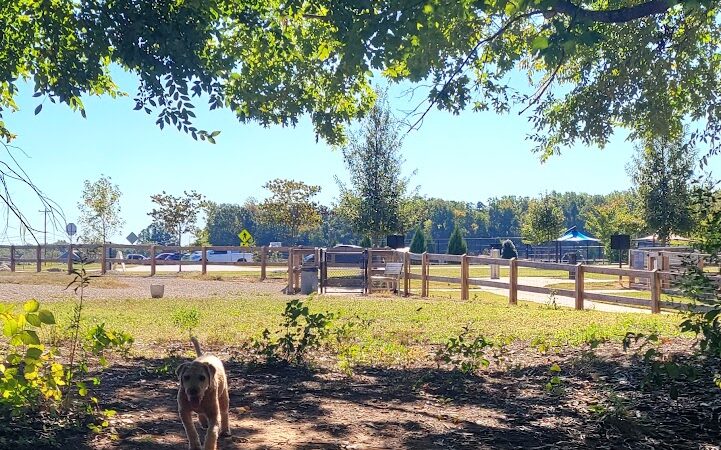 Dog Park at Clarks Creek Community Park
