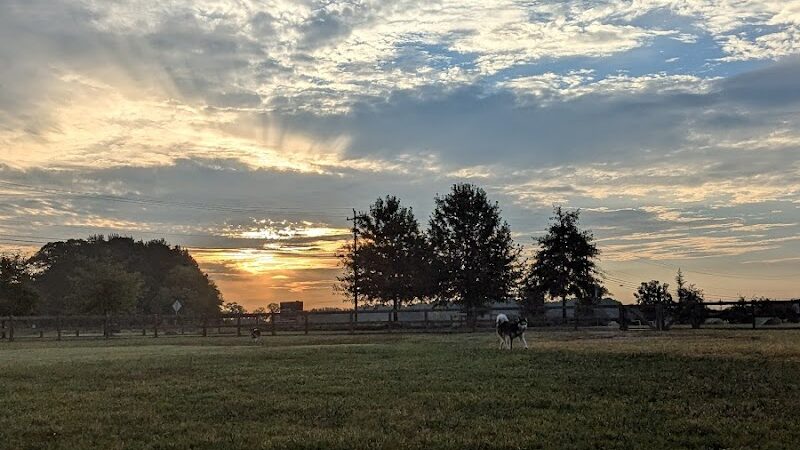 Dog Park at Clarks Creek Community Park