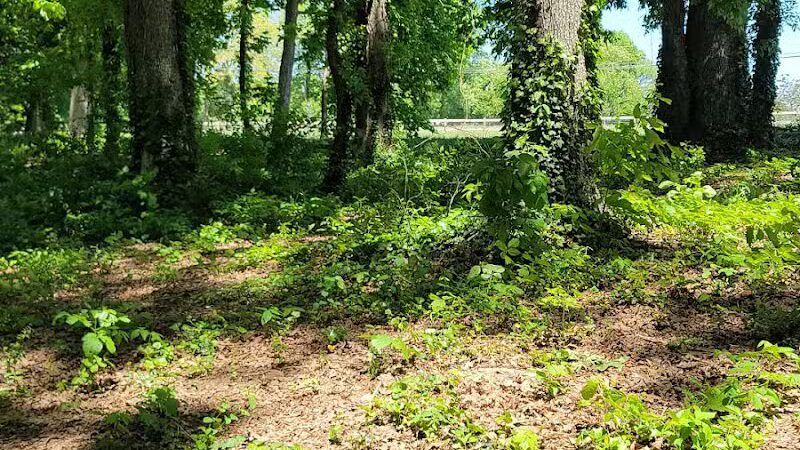 Dog Park at Clarks Creek Community Park