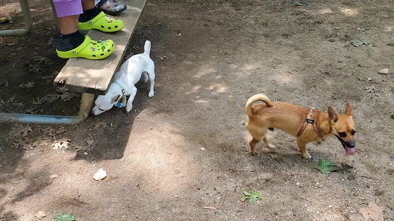 Frazier Place dog park