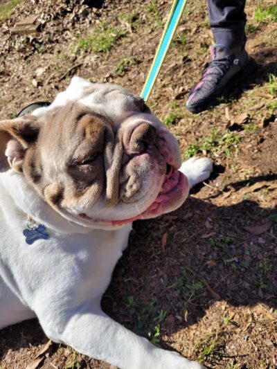 Frazier Place dog park