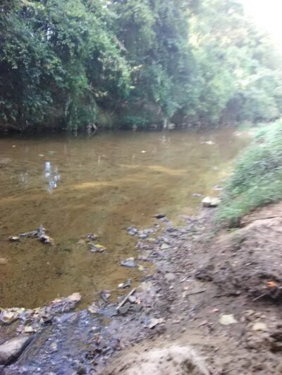 Frazier Place dog park