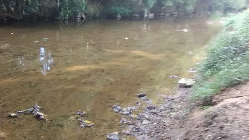 Frazier Place dog park