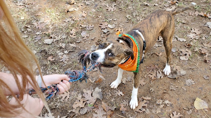 Frazier Place dog park