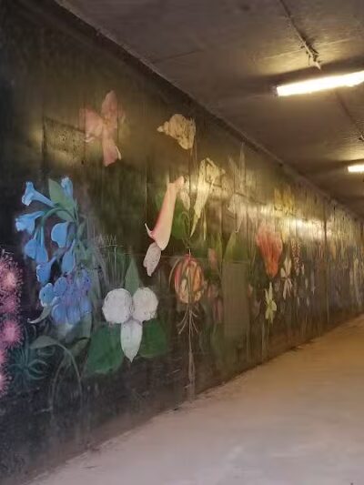 Frazier Place dog park