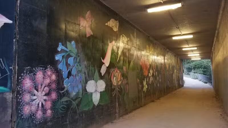 Frazier Place dog park