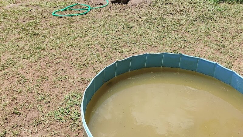 Plaza Midwood Neighborhood Association Dog Park