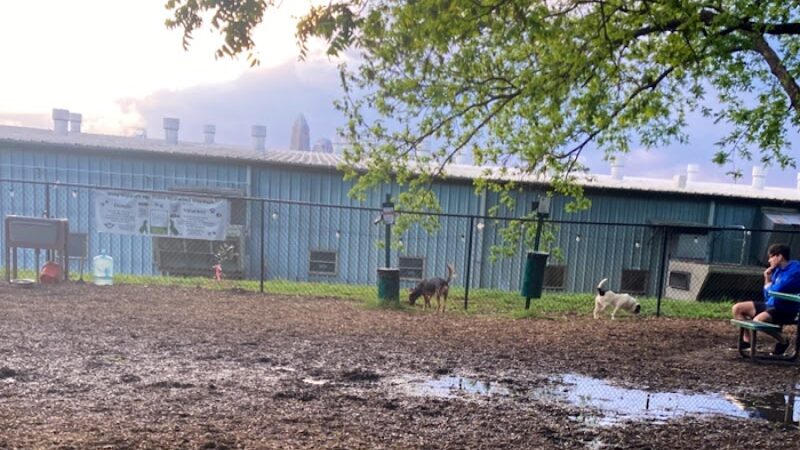 Plaza Midwood Neighborhood Association Dog Park