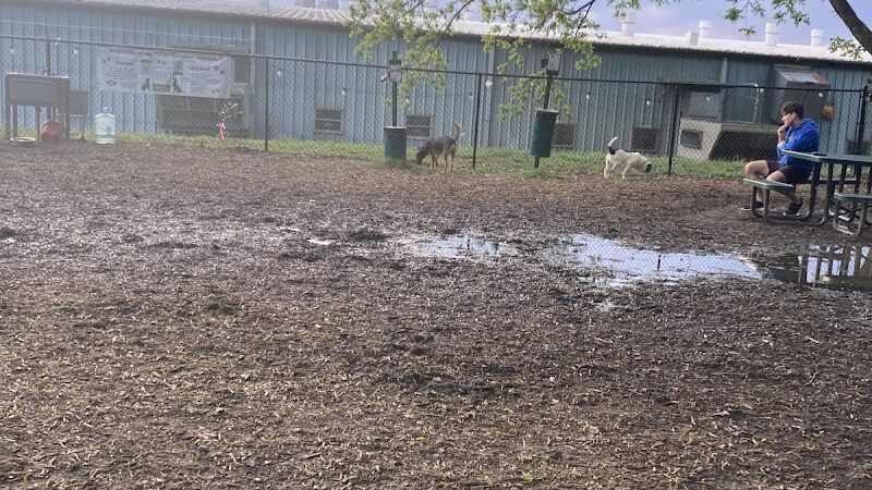 Plaza Midwood Neighborhood Association Dog Park