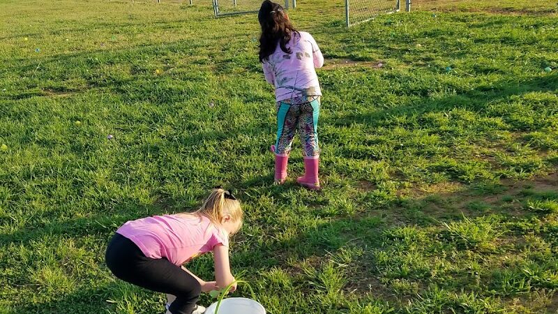 Shuffletown Dog Park