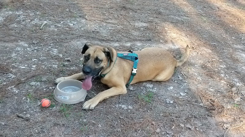 Shuffletown Dog Park