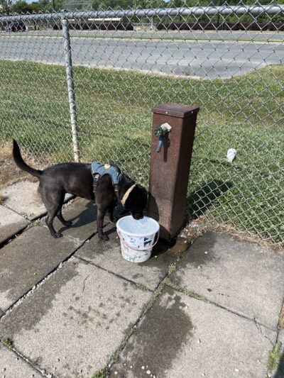 Shuffletown Dog Park