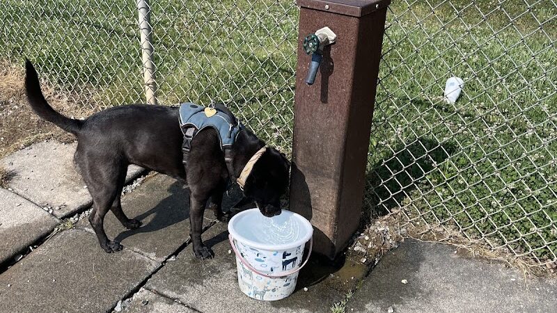 Shuffletown Dog Park