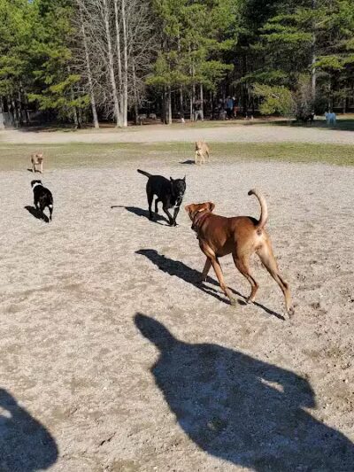 Shuffletown Dog Park