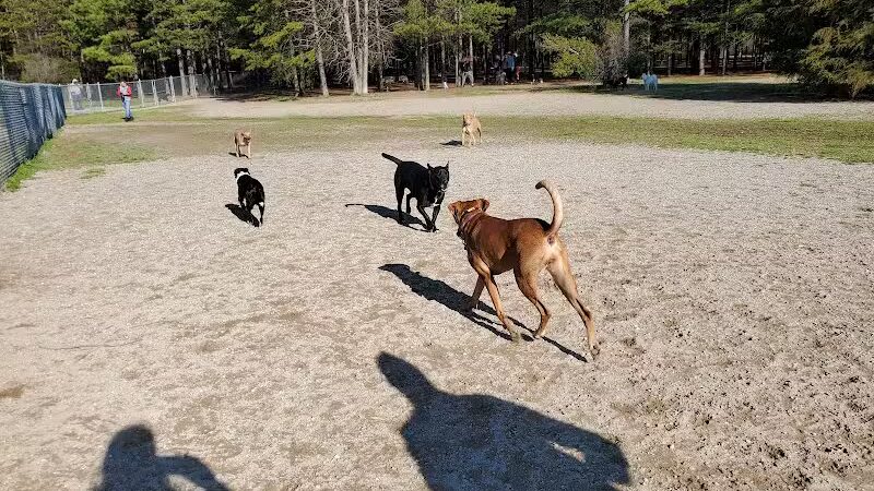 Shuffletown Dog Park